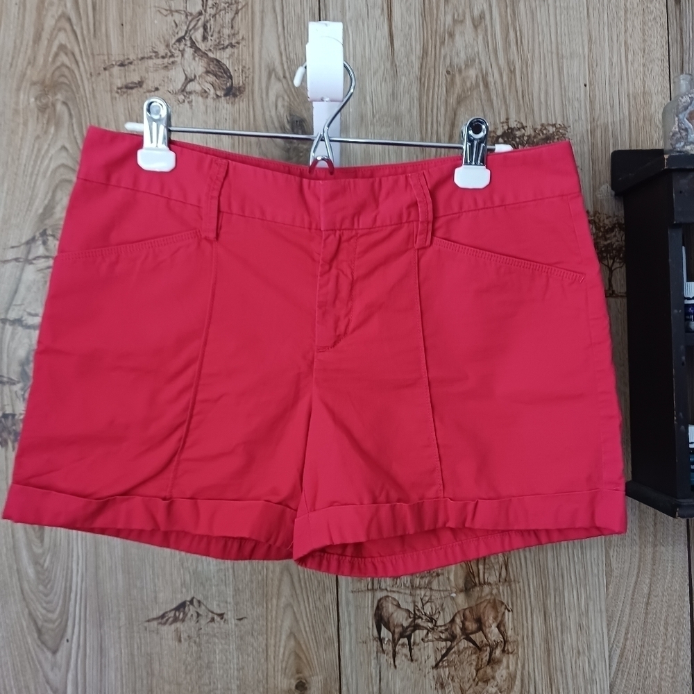 Anne Taylor LOFT  Shorts